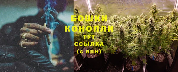 спиды Михайловск