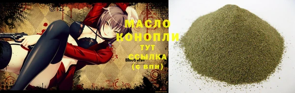 индика Осташков