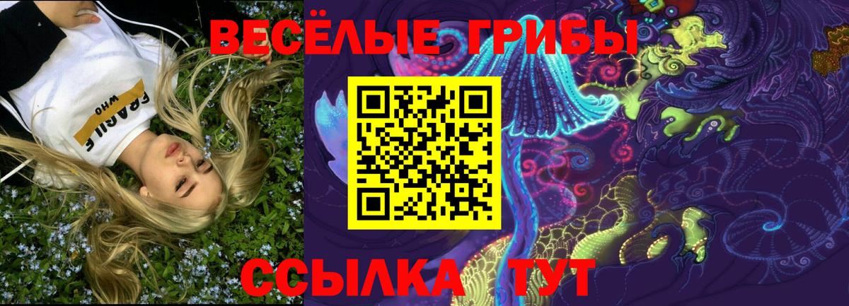 Урюпинск  Галлюциногенные грибы Psilocybe  Вход с VPN 